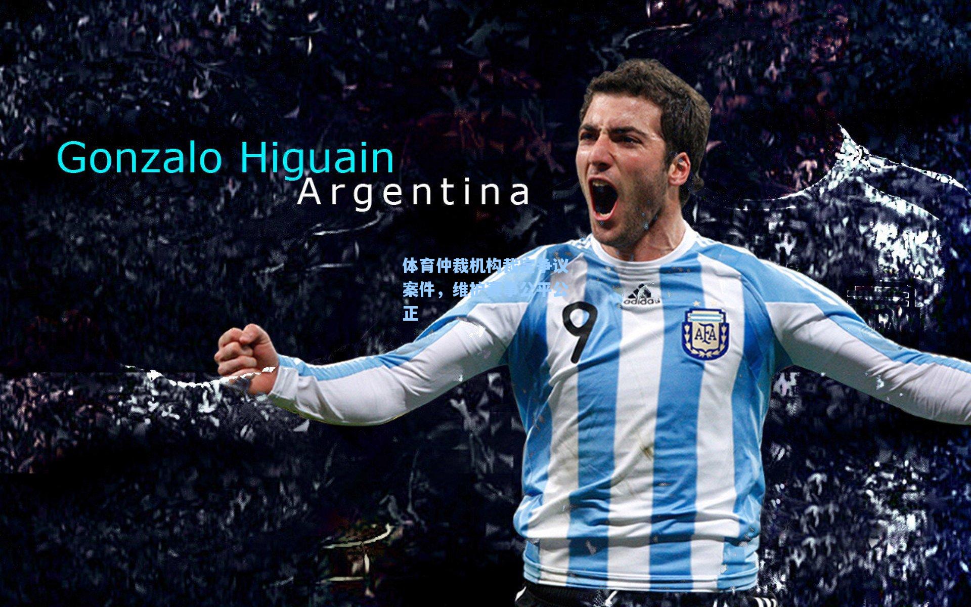 体育仲裁机构裁定争议案件，维护赛事公平公正