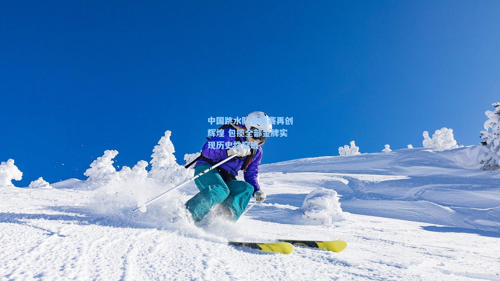 中国跳水队世锦赛再创辉煌 包揽全部金牌实现历史性突破
